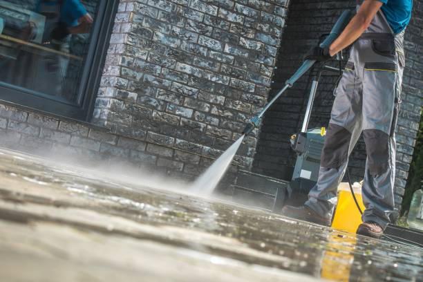 Best Vinyl Siding Pressure Washing in Sands Point, NY