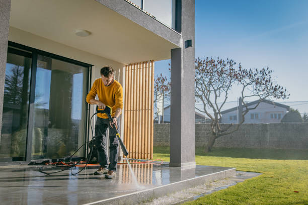 Best Roof Cleaning and Mildew Removal in Sands Point, NY